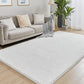 Soft and Plush Carpet Rug – Perfect for Cozy Living