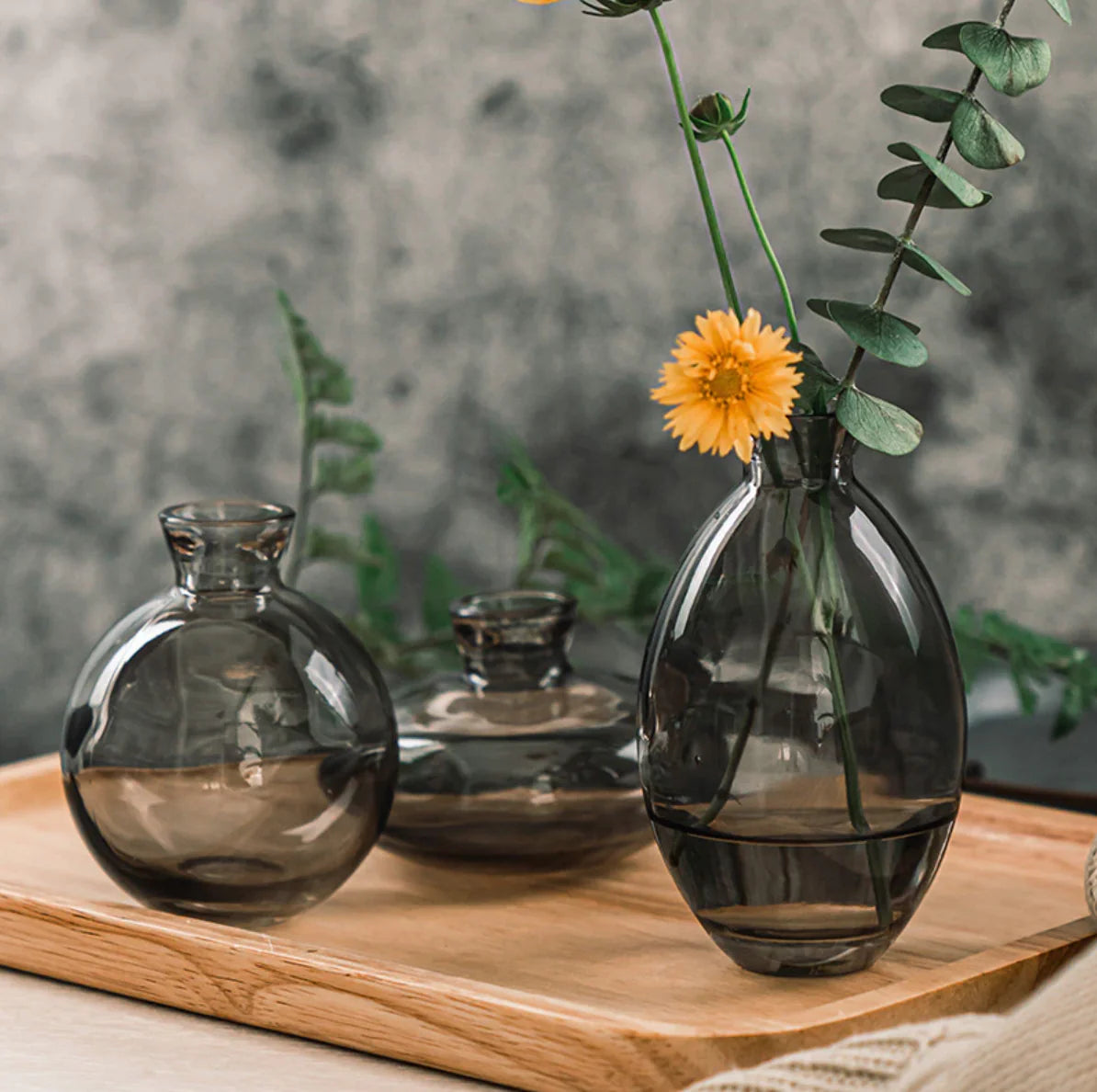 Elegant Glass Vases – Perfect for Modern Home Décor and Interior Design