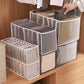 Premium Compartment Storage Box Closet Organizer